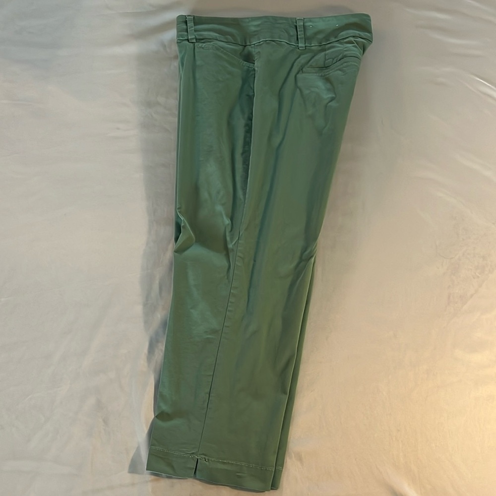 Loft Cropped Pants